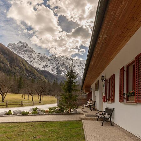 Bed and Breakfast Hisa Ojstrica Solčava Zewnętrze zdjęcie