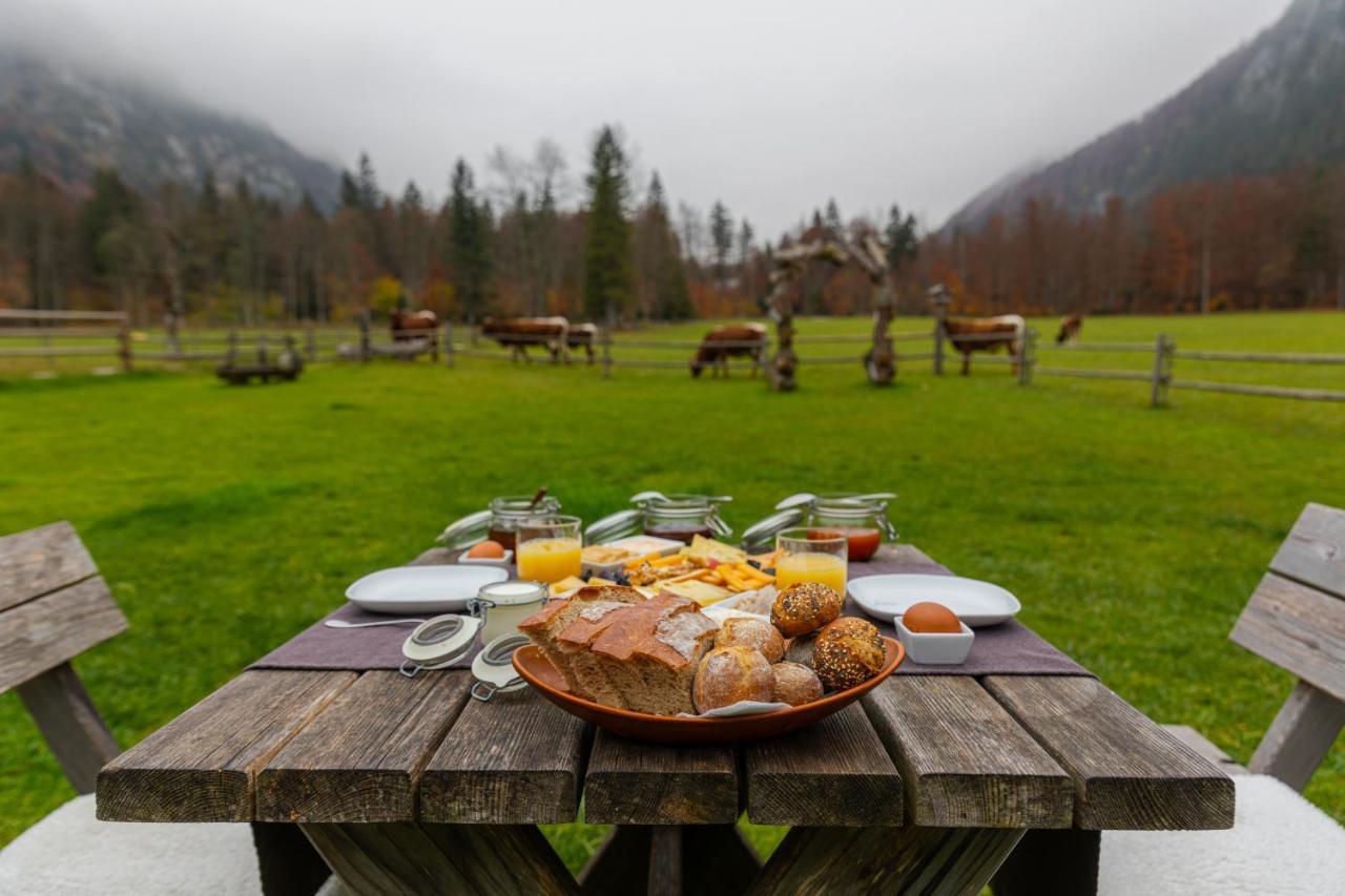 Bed and Breakfast Hisa Ojstrica Solčava Zewnętrze zdjęcie