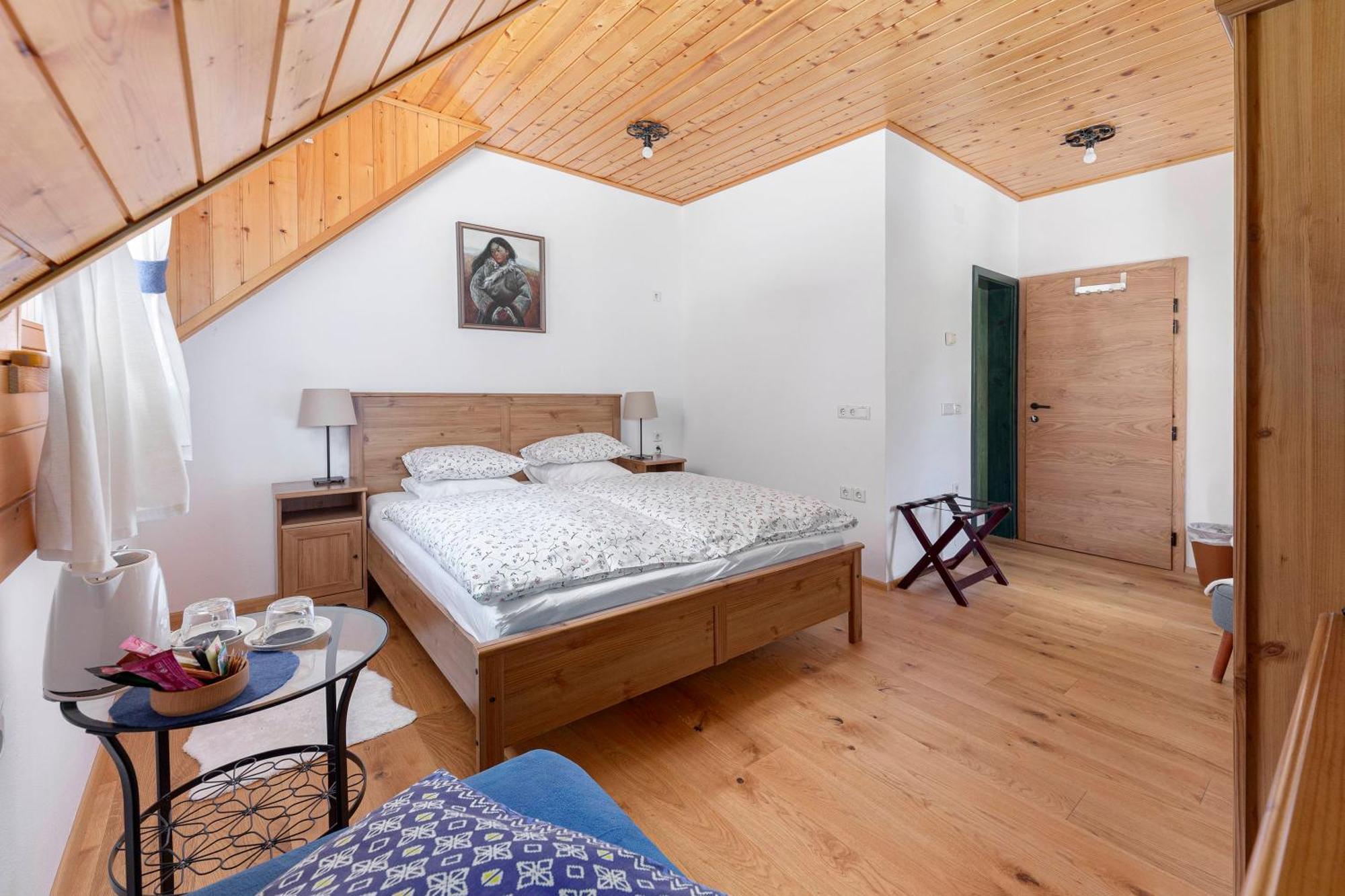 Bed and Breakfast Hisa Ojstrica Solčava Zewnętrze zdjęcie