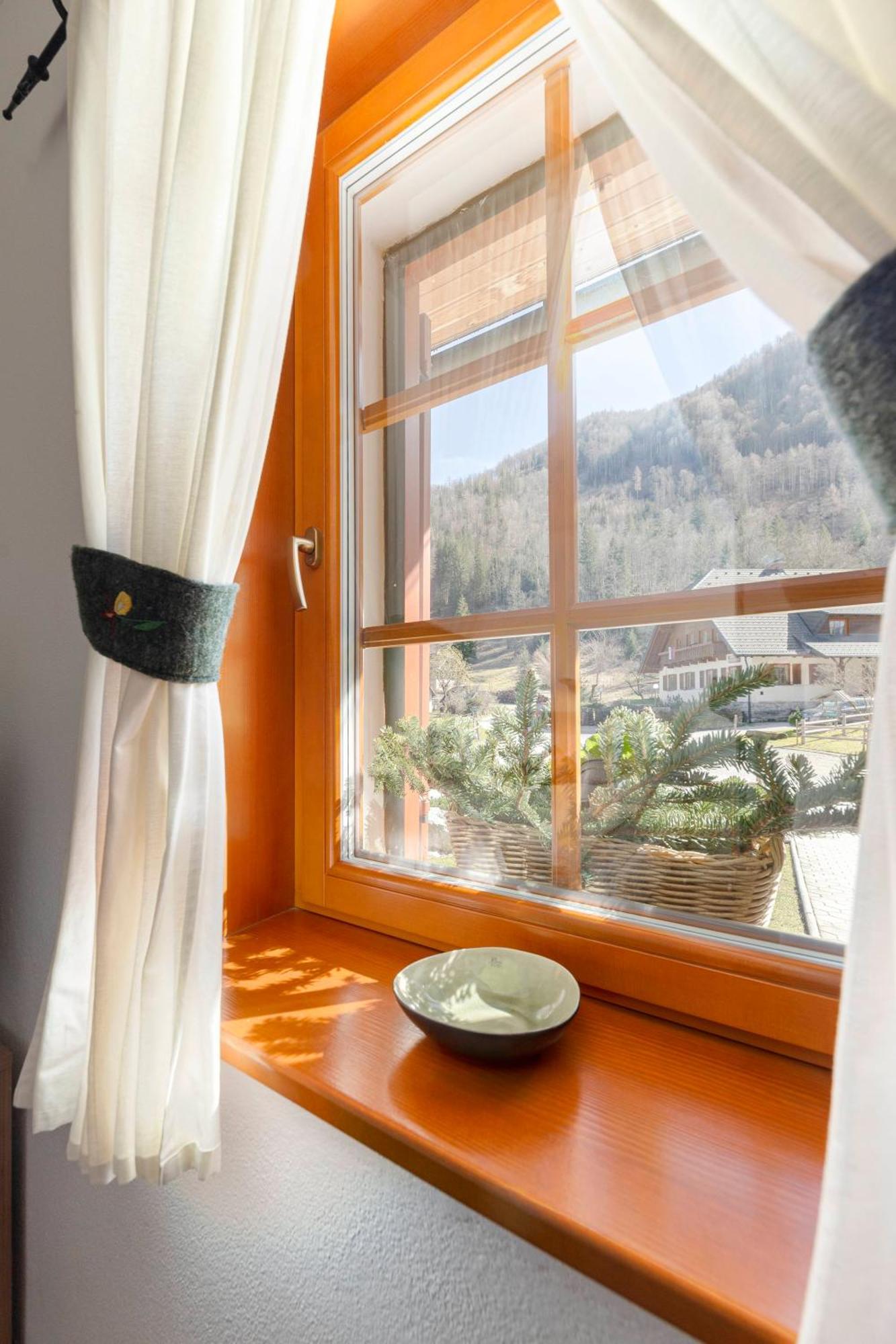 Bed and Breakfast Hisa Ojstrica Solčava Zewnętrze zdjęcie
